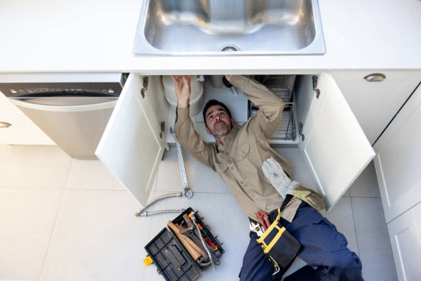 Best Toilet Repair Services  in Jackpot, NV